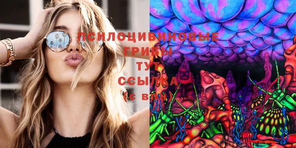 прущие крисы Арсеньев