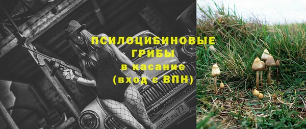 прущие крисы Арсеньев