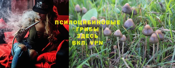 прущие крисы Арсеньев