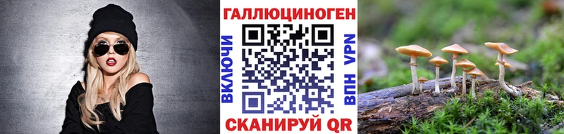 Галлюциногенные грибы Psilocybine cubensis  Бодайбо 