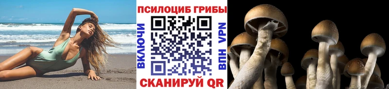 Галлюциногенные грибы MAGIC MUSHROOMS Бодайбо